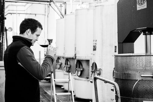 Discover Biodynamic Winemaking: Crafting Sustainable, Artisan Wines - Millon Wines